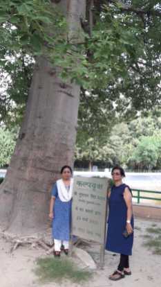 In front of Kalpvruskh Tree